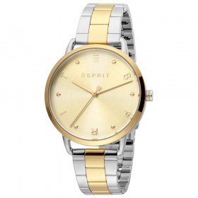 Dámske hodinky ESPRIT ES1L173M0095 - Dámske hodinky ESPRIT ES1L173M0095 bicolorne hodinky strieborno zlate hodinky pre zeny