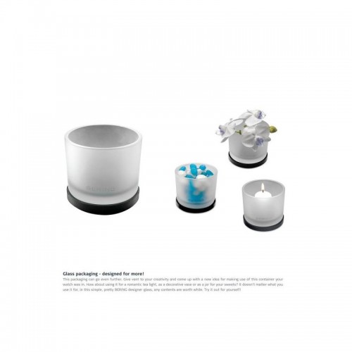 Obrázok číslo 2: Dámske hodinky BERING 12934-000